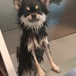 IMG_20250811_150846 (1)