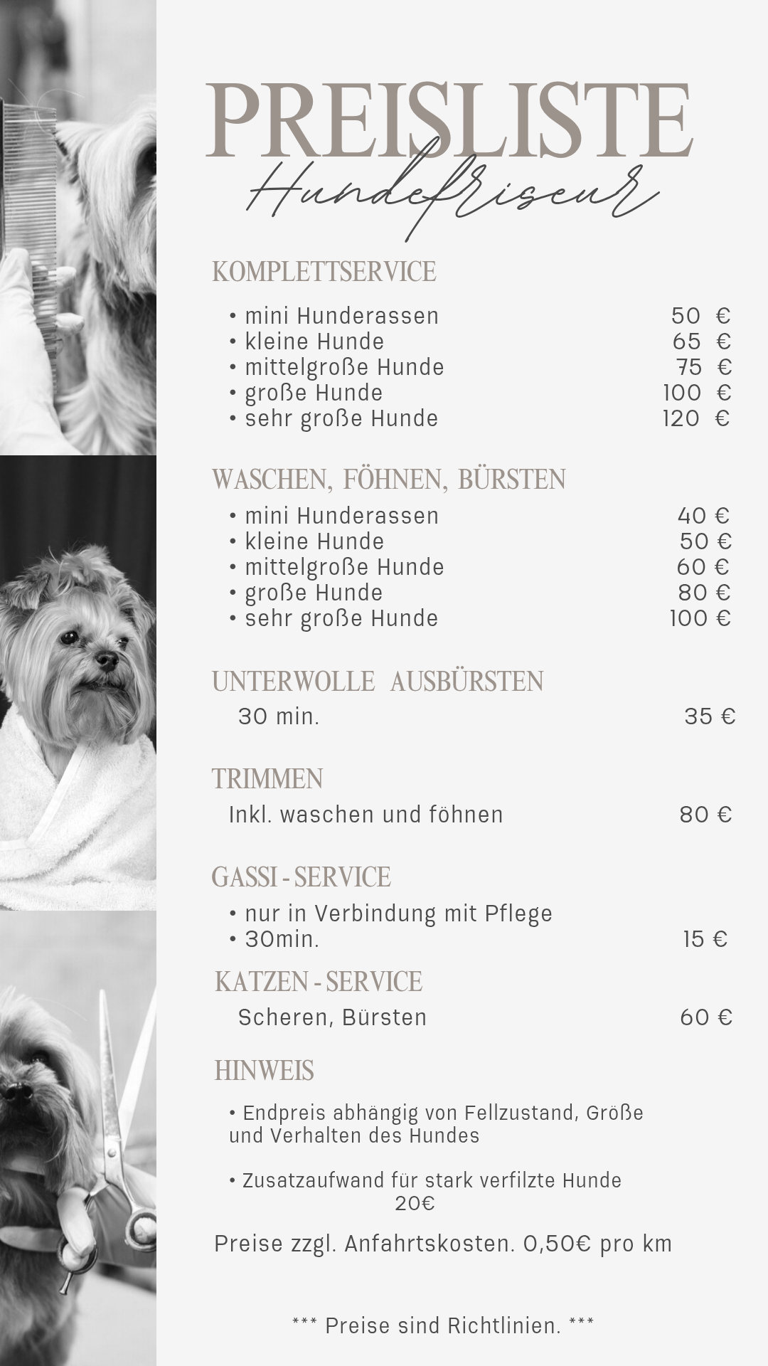 Weiß Grau Stilvoll Collage Business Übersicht Foto Studio Preis Liste_20251010_210713_0000